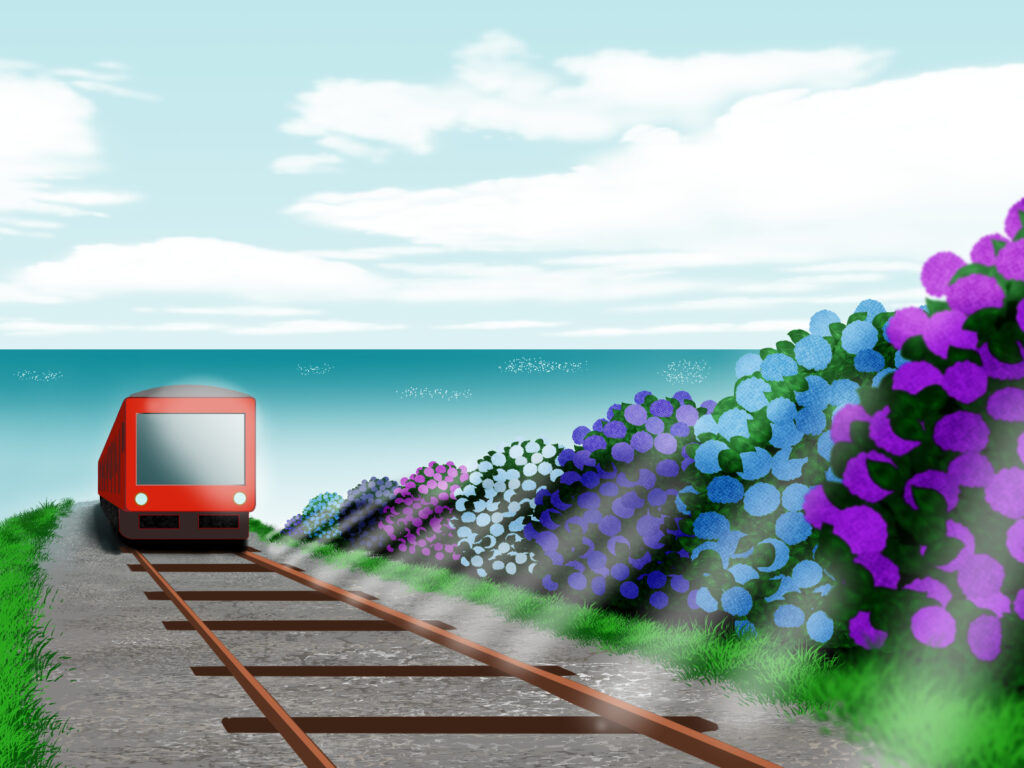 アジサイ電車