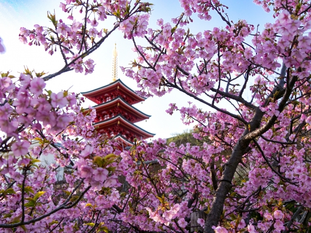 福岡