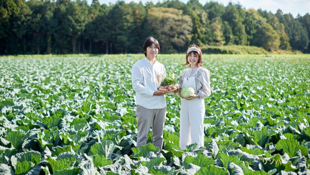 キャベツ畑