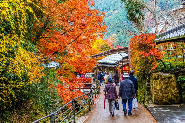 人気のある京都