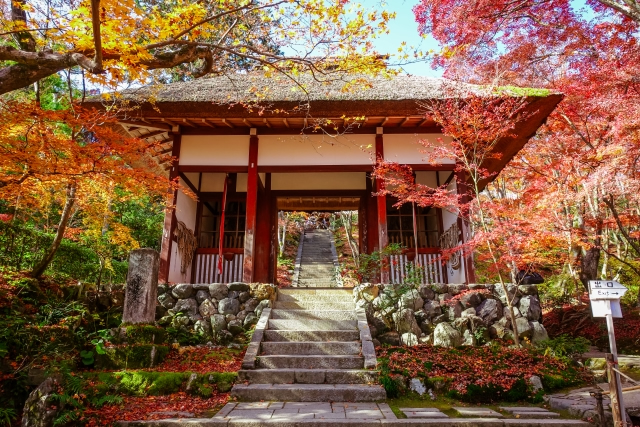 京都