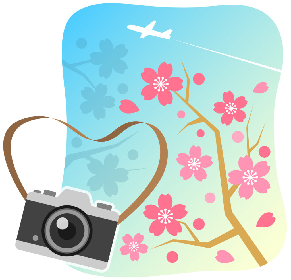 写真撮影イメージ図